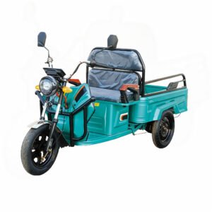 geely 110pg