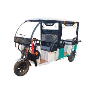 luxury passenger tuk tuk